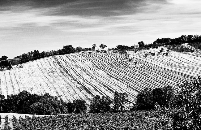 La Vita Nuova - Foto 19