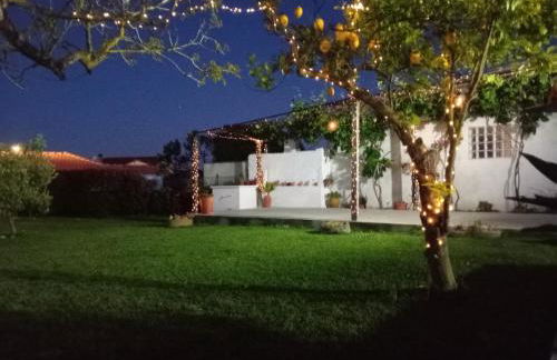 Casa dos Avós Veras - Foto 26