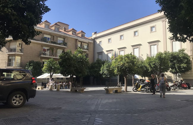 RentalSevilla Apartamento de lujo en la Giralda - Foto 24