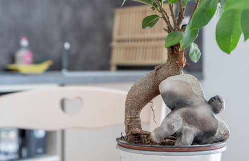 La Luberonnette - Foto 13