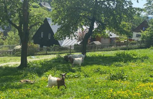 Kastanienhof - Photo 13