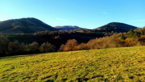 Casa Artegia - Foto 2