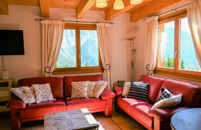 Ecureuil noir - Foto 3