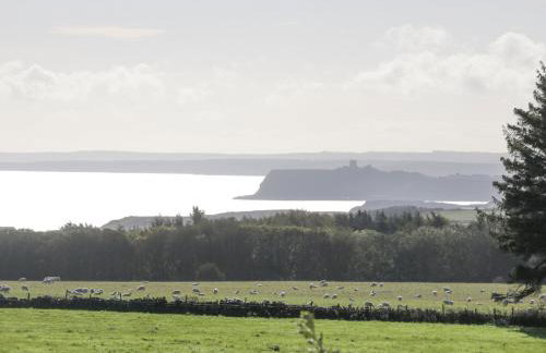 Dovecote Cottage - Foto 18