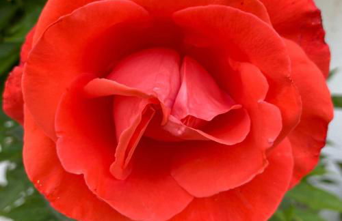 Infinity Wellness Apartment Hotel - Foto 128