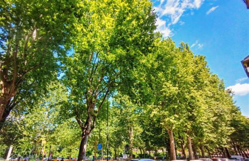 Cozy B&B Via Santhià - Foto 23