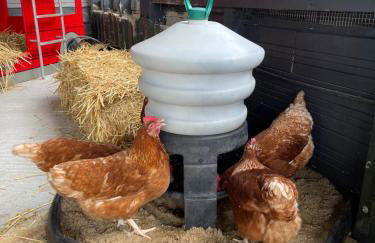 Willow Court Farm Studio East & Petting Farm, 8 mins to Legoland & Windsor, 15 mins to Lapland UK - Foto 26