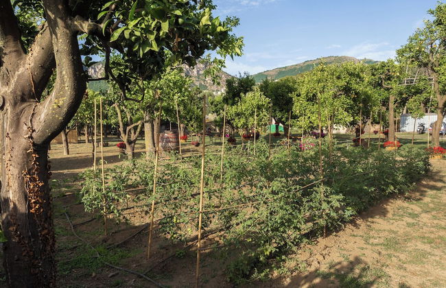 Giardino di Nonno Lucio - Foto 40