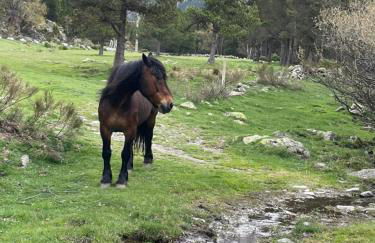 Chalet L'Eider - Foto 23