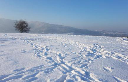 Agroturystyka Corno Owca - Foto 48