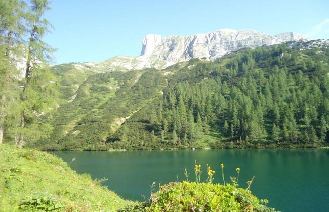 Apartment in Tauplitz Near Ski Lift - Foto 30