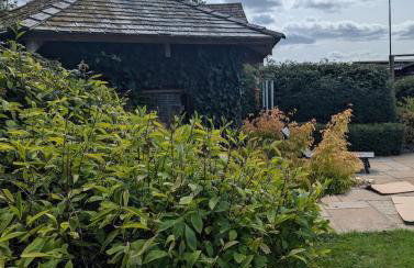 Artist's Hawkhurst Home with Heated Pool & Sauna - Foto 40