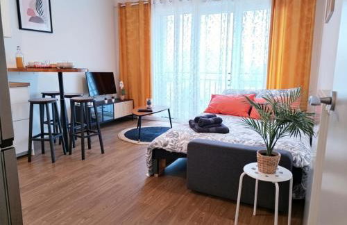 L'ORANGER cosy, moderne, parking privé, proche tramway - Foto 23