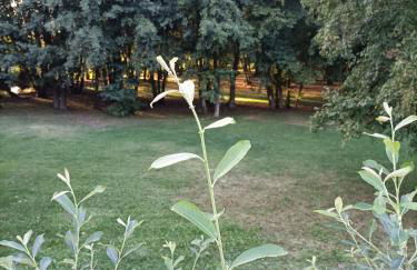 Casa Histórica Aldana, Plaza Vieja - Foto 22