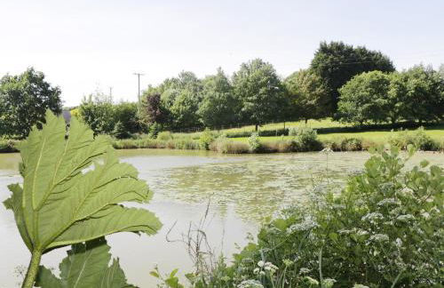 Apple Tree Lodge - Foto 20