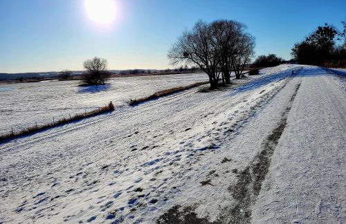 Ferienhaus Grüner Bungalow Kontaktloser CheckIn - Photo 50