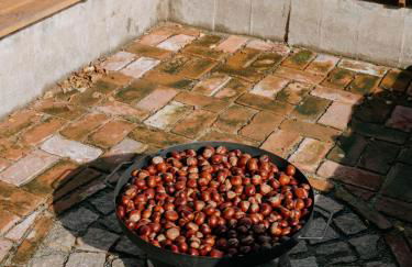 Stall & Sterne - Tiny Häuser - Foto 21