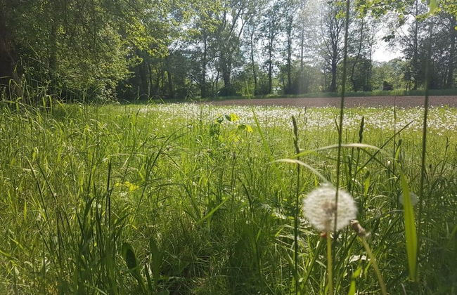 Cosy Apartment in Schmogrow - Foto 8