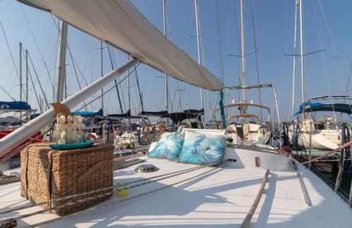 Quo Vadis Yacht in Bisceglie Harbor - Foto 18