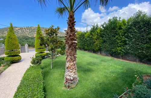 Villa Noema - Foto 49