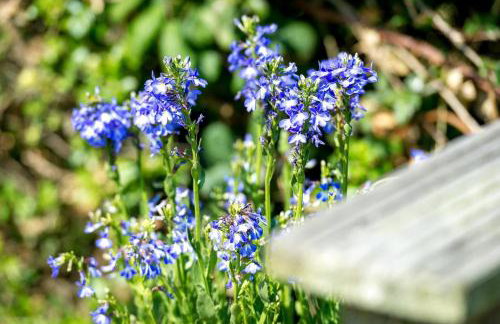 2 Bed in Bwlchtocyn oc-brynxx - Foto 24