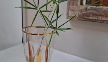 Gizele Sander Arte & Hospedagem - Foto 2