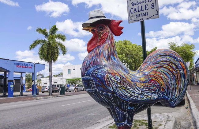 Miami Combo: City Tour + Everglades + Celebrity Homes - Photo 4