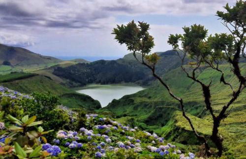 Monchique Islet View House T2 - Foto 25