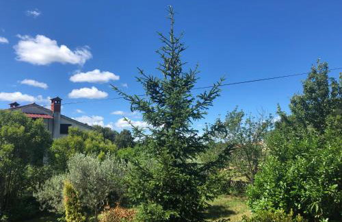 Villa Ljubica with big beautiful garden - Foto 9