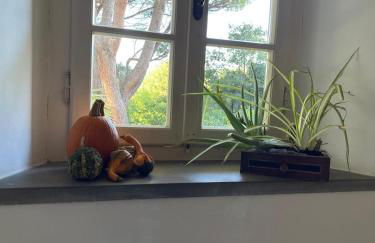 Il Piccolino - Foto 32