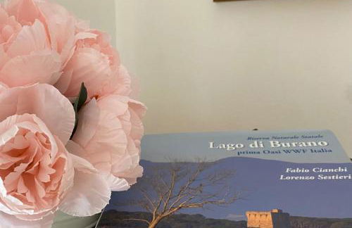 Casa Burano-Relax in Terrazza tra mare e natura - Foto 16