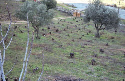 Casa rural en El Burguillo -Vitalia 2 CR-AV-1251 - Photo 53