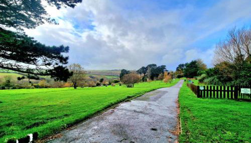 JL Cornwall Newquay Caravan - Foto 4