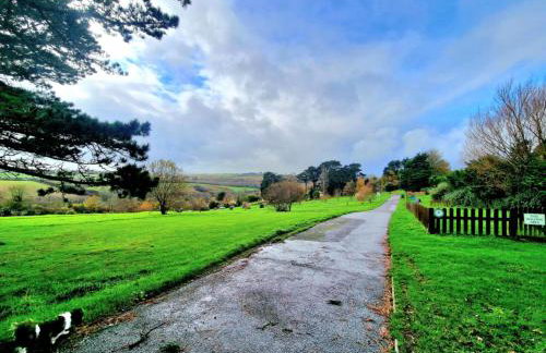 JL Cornwall Newquay Caravan - Foto 4