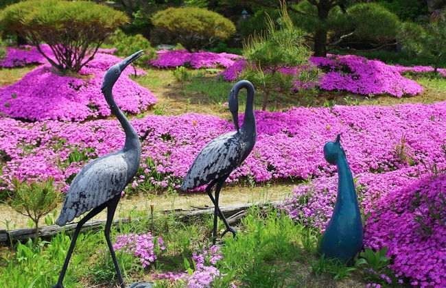 Byeolmuri Pension - Photo 30