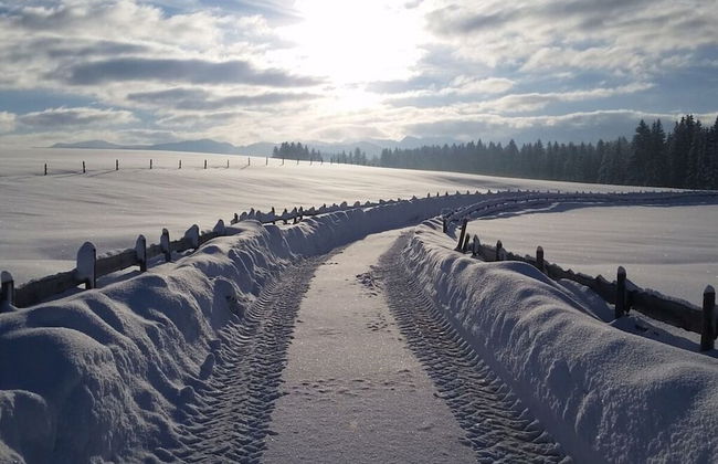 Holiday Apartment Almstuberl - Photo 2