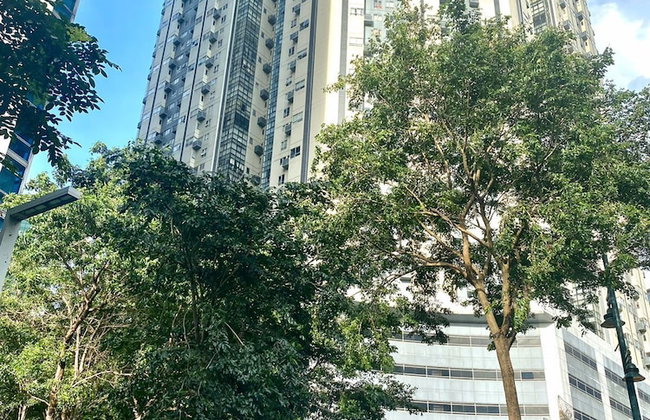 MaxStays Max Style at Fort Victoria - Foto 37