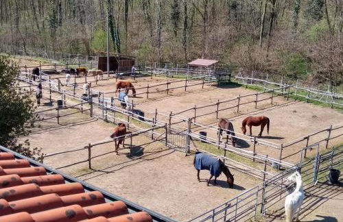 Casa Noa, appartamento con giardino privato - Foto 8