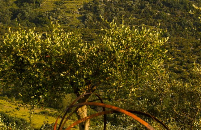 L' Aia Resort - Foto 28