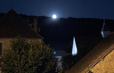 Maison de campagne entre vigne et bois - Foto 22