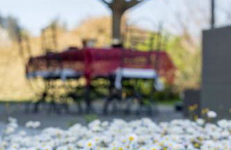 Homeby, Villa Corte dello Zanchino - Foto 52