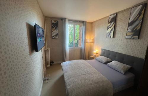 Champions Deluxe - Foto 21