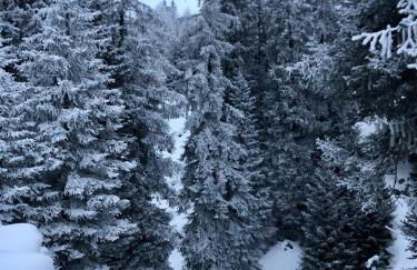 Maison Etoile - Pila n 0042 - Foto 16