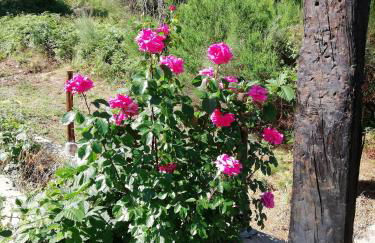 Casa Rural Refugio Los Perdigones - Photo 15