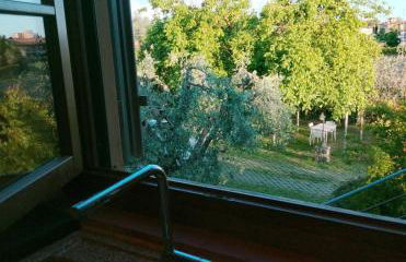 Appartamento Oliver2 - Foto 31