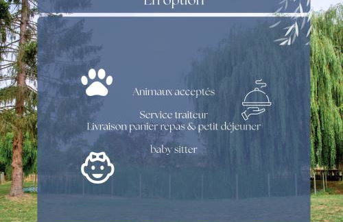 Grand Gîte Le Saule en Scie - 3 étoiles - Spa chauffé, 12 à 14 pers, jardin clos, 30 mn PuyduFou - Foto 52