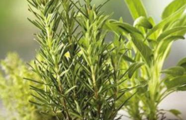 Agriturismo Il Colletto - Foto 18