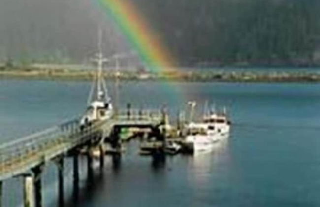 Salty Towers Oceanfront Cottages - Foto 44