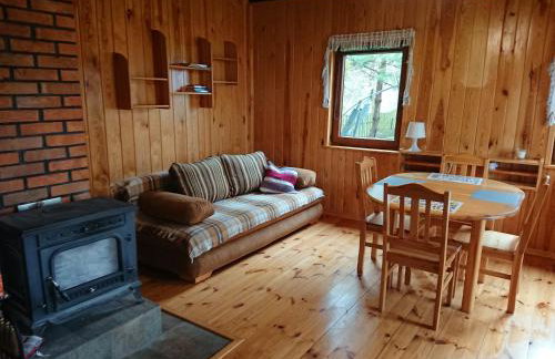 Małe Mazury- domek z łowiskiem - Photo 20