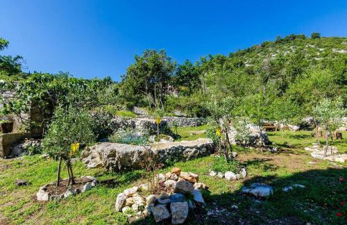 Apartments with parking space Korita, Mljet - 22342 - Foto 7